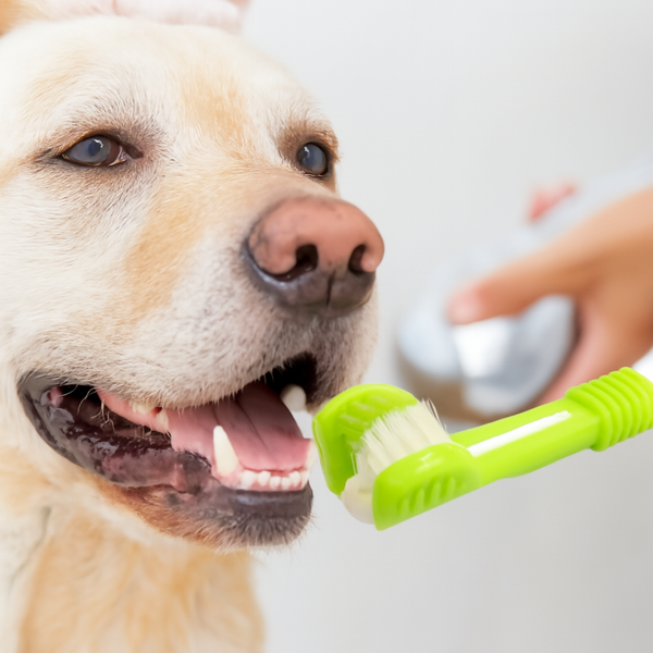 trostrana četkica za zube