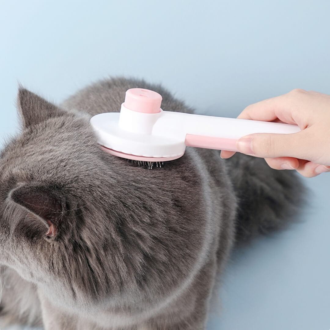 ČETKA ZA ČIŠĆENJE SEL