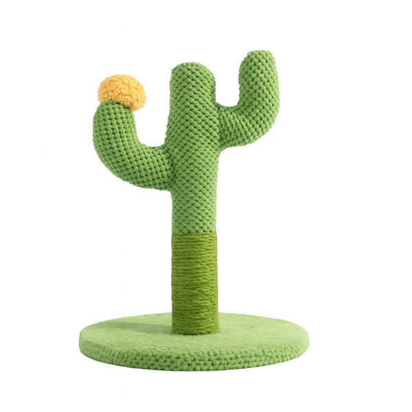 Kaktus za grebanje