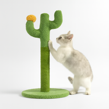 Kaktus za grebanje